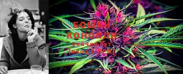 PSILOCYBIN Абинск