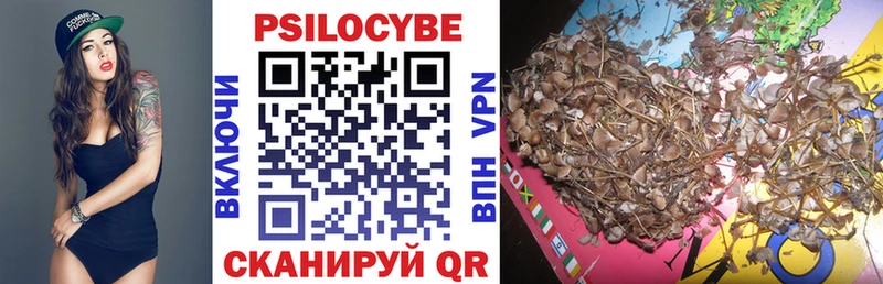 Псилоцибиновые грибы Psilocybine cubensis  продажа наркотиков  Касли 